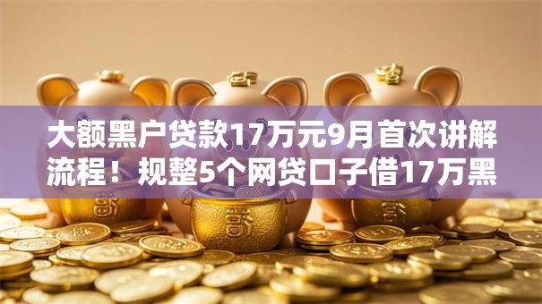 大额黑户贷款17万元9月首次讲解流程！规整5个网贷口子借17万黑户
