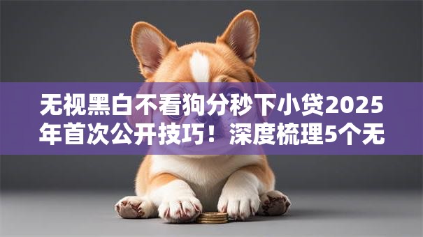 无视黑白不看狗分秒下小贷2025年首次公开技巧！深度梳理5个无视黑白借钱口子分秒下网贷