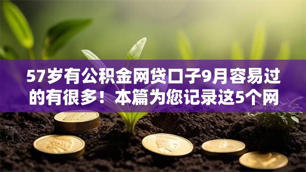57岁有公积金网贷口子9月容易过的有很多!本篇为您记录这5个网贷软件! 57岁有公积金网贷口子9月容易过的有很多!本篇为您记录这5个网贷软件!
