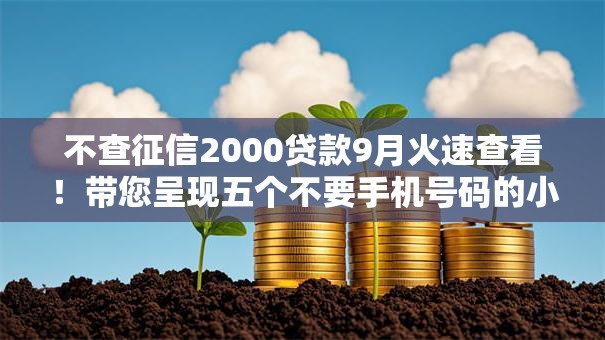 不查征信2000贷款9月火速查看！带您呈现五个不要手机号码的小贷