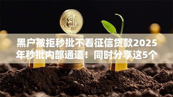 黑户被拒秒批不看征信贷款2025年秒批内部通道！同时分享这5个信用卡逾期了能贷款的口子