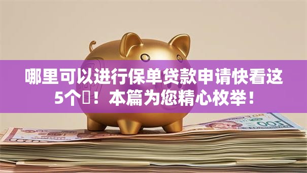 哪里可以进行保单贷款申请快看这5个​！本篇为您精心枚举！