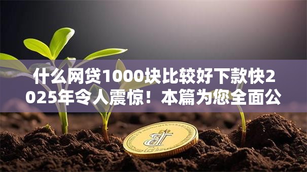 什么网贷1000块比较好下款快2025年令人震惊！本篇为您全面公布！
