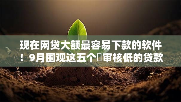 现在网贷大额最容易下款的软件！9月围观这五个​审核低的贷款