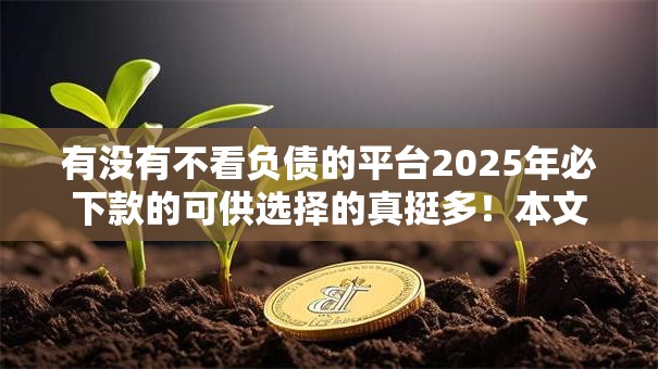 有没有不看负债的平台2025年必下款的可供选择的真挺多！本文为您精心亲测这5个贷款口子！