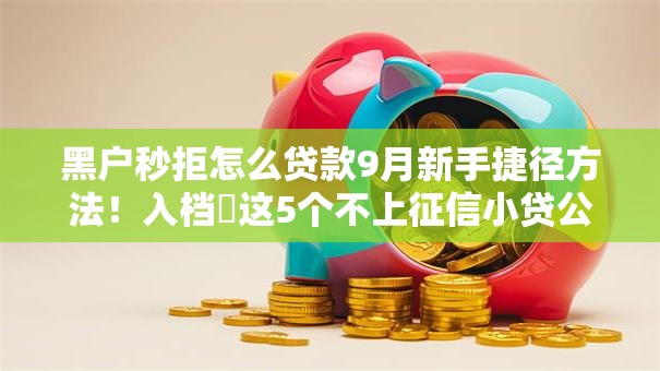 黑户秒拒怎么贷款9月新手捷径方法！入档​这5个不上征信小贷公司排名