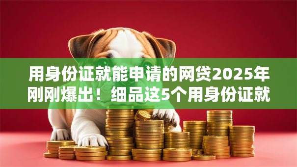 用身份证就能申请的网贷2025年刚刚爆出！细品这5个用身份证就能申请的借钱软件