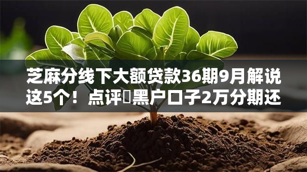 芝麻分线下大额贷款36期9月解说这5个！点评​黑户口子2万分期还款
