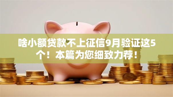 啥小额贷款不上征信9月验证这5个！本篇为您细致力荐！