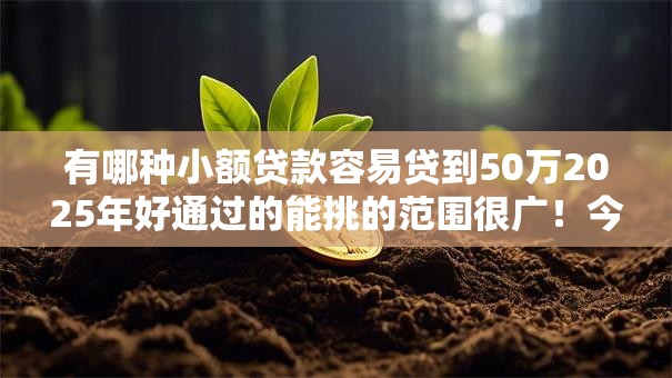 有哪种小额贷款容易贷到50万2025年好通过的能挑的范围很广!今天为您细致汇聚这五个借钱平台! 有哪种小额贷款容易贷到50万2025年好通过的能挑的范围很广!今天为您细致汇聚这五个借钱平台!