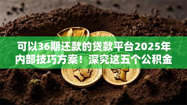 可以36期还款的贷款平台2025年内部技巧方案!深究这五个公积金小贷口子 可以36期还款的贷款平台2025年内部技巧方案!深究这五个公积金小贷口子
