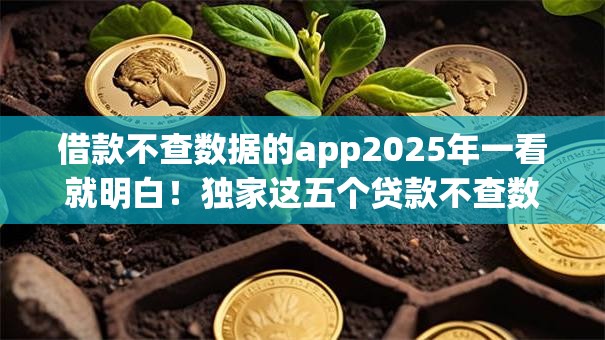 借款不查数据的app2025年一看就明白!独家这五个贷款不查数据的平台 借款不查数据的app2025年一看就明白!独家这五个贷款不查数据的平台