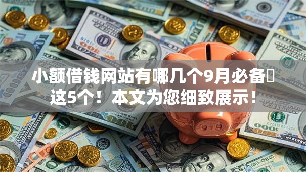 小额借钱网站有哪几个9月必备​这5个！本文为您细致展示！