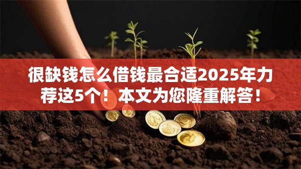 很缺钱怎么借钱最合适2025年力荐这5个!本文为您隆重解答! 很缺钱怎么借钱最合适2025年力荐这5个!本文为您隆重解答!