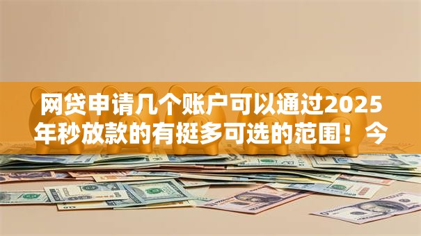 网贷申请几个账户可以通过2025年秒放款的有挺多可选的范围！今天为您细说​这五个借款平台！