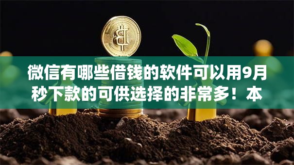 微信有哪些借钱的软件可以用9月秒下款的可供选择的非常多!本篇为您深度叙述这五个借钱app! 微信有哪些借钱的软件可以用9月秒下款的可供选择的非常多!本篇为您深度叙述这五个借钱app!