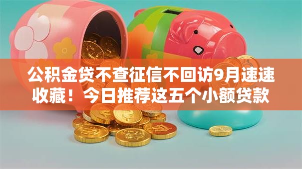 公积金贷不查征信不回访9月速速收藏!今日推荐这五个小额贷款不看征信2025款 公积金贷不查征信不回访9月速速收藏!今日推荐这五个小额贷款不看征信2025款
