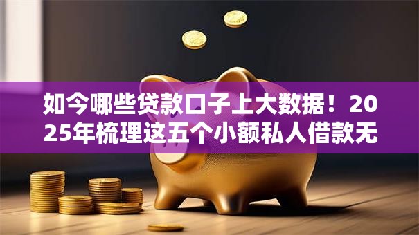 如今哪些贷款口子上大数据！2025年梳理这五个小额私人借款无前期费用