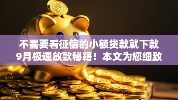 不需要看征信的小额贷款就下款9月极速放款秘籍!本文为您细致归结! 不需要看征信的小额贷款就下款9月极速放款秘籍!本文为您细致归结!
