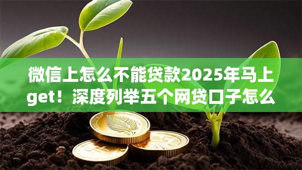 微信上怎么不能贷款2025年马上get！深度列举五个网贷口子怎么不能借钱