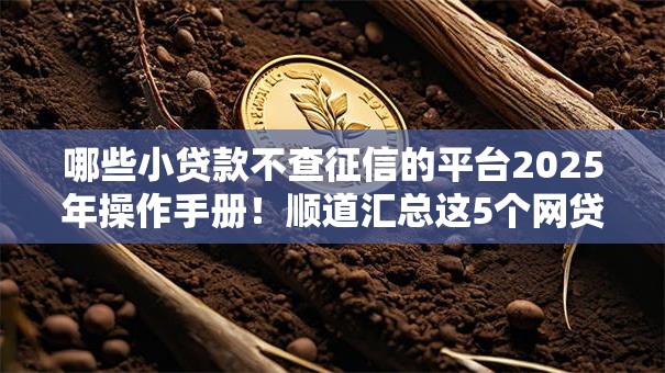哪些小贷款不查征信的平台2025年操作手册!顺道汇总这5个网贷口子借钱不查征信的 哪些小贷款不查征信的平台2025年操作手册!顺道汇总这5个网贷口子借钱不查征信的