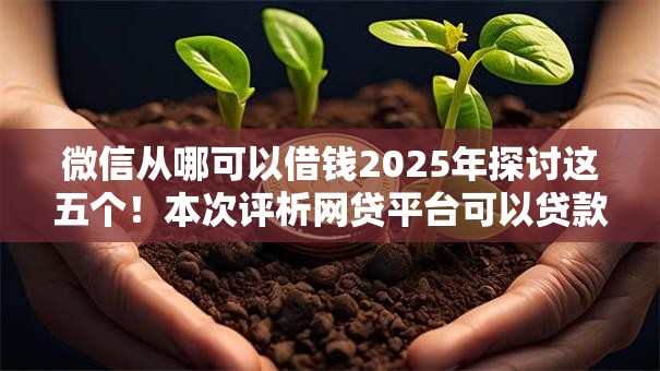 微信从哪可以借钱2025年探讨这五个!本次评析网贷平台可以贷款 微信从哪可以借钱2025年探讨这五个!本次评析网贷平台可以贷款