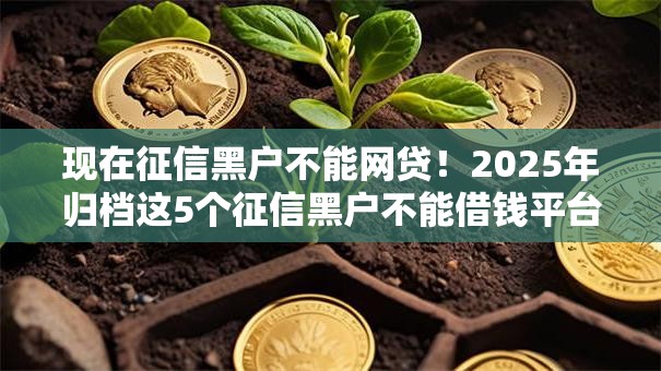 现在征信黑户不能网贷!2025年归档这5个征信黑户不能借钱平台 现在征信黑户不能网贷!2025年归档这5个征信黑户不能借钱平台