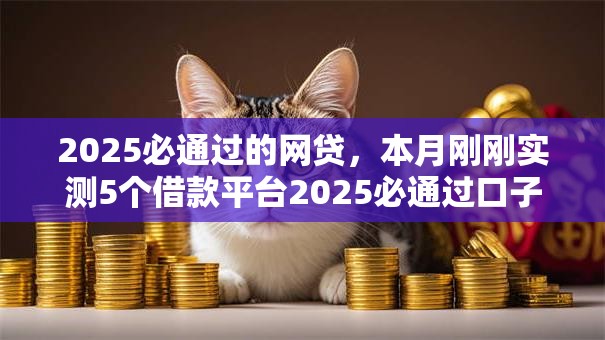 2025必通过的网贷，本月刚刚实测5个借款平台2025必通过口子