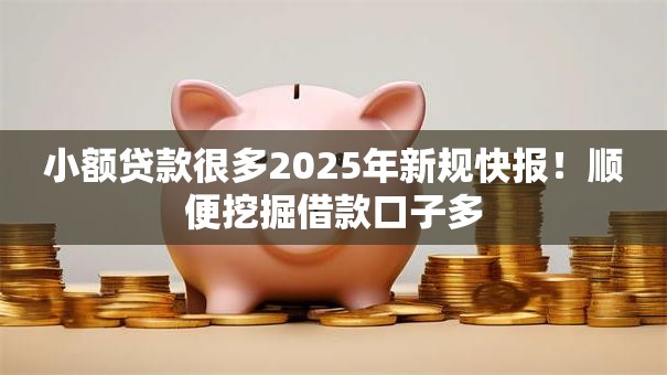 小额贷款很多2025年新规快报!顺便挖掘借款口子多 小额贷款很多2025年新规快报!顺便挖掘借款口子多