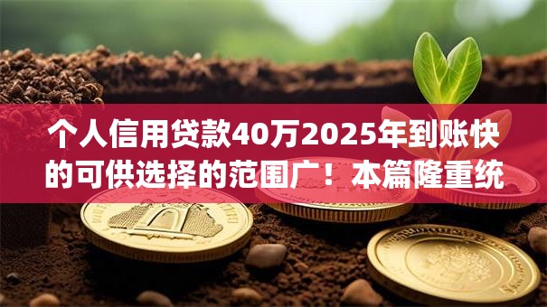 个人信用贷款40万2025年到账快的可供选择的范围广!本篇隆重统计这五个黑户网贷app! 个人信用贷款40万2025年到账快的可供选择的范围广!本篇隆重统计这五个黑户网贷app!