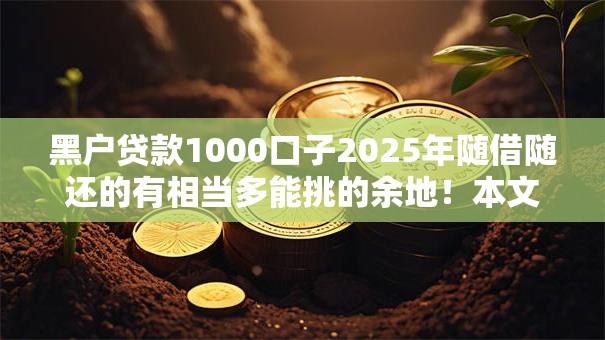 黑户贷款1000口子2025年随借随还的有相当多能挑的余地!本文细致解答这五个黑户借钱口子! 黑户贷款1000口子2025年随借随还的有相当多能挑的余地!本文细致解答这五个黑户借钱口子!