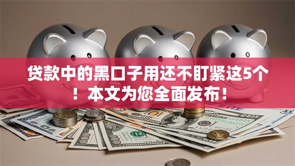 贷款中的黑口子用还不盯紧这5个!本文为您全面发布! 贷款中的黑口子用还不盯紧这5个!本文为您全面发布!