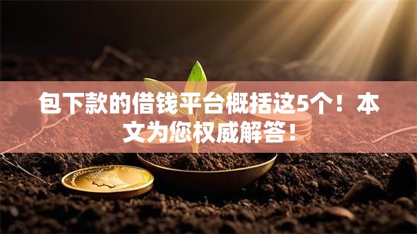 包下款的借钱平台概括这5个！本文为您权威解答！