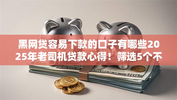 黑网贷容易下款的口子有哪些2025年老司机贷款心得！筛选5个不用拍照的借款口子