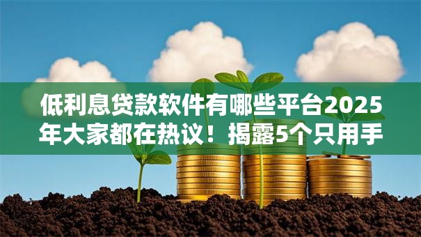 低利息贷款软件有哪些平台2025年大家都在热议！揭露5个只用手机号就可以贷款的软件
