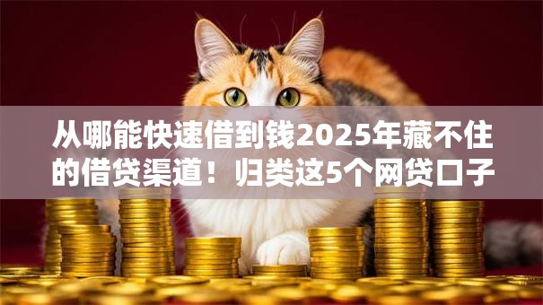从哪能快速借到钱2025年藏不住的借贷渠道!归类这5个网贷口子能快速借钱 从哪能快速借到钱2025年藏不住的借贷渠道!归类这5个网贷口子能快速借钱