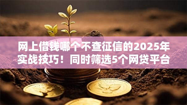 网上借钱哪个不查征信的2025年实战技巧!同时筛选5个网贷平台借钱都不查征信 网上借钱哪个不查征信的2025年实战技巧!同时筛选5个网贷平台借钱都不查征信