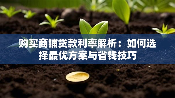 购买商铺贷款利率解析：如何选择最优方案与省钱技巧