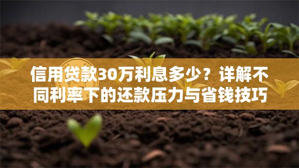 信用贷款30万利息多少？详解不同利率下的还款压力与省钱技巧