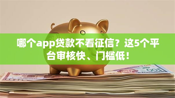哪个app贷款不看征信？这5个平台审核快、门槛低！