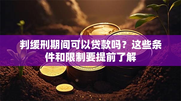 判缓刑期间可以贷款吗？这些条件和限制要提前了解