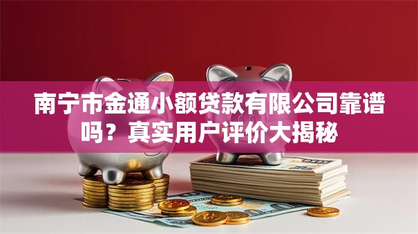 南宁市金通小额贷款有限公司靠谱吗？真实用户评价大揭秘