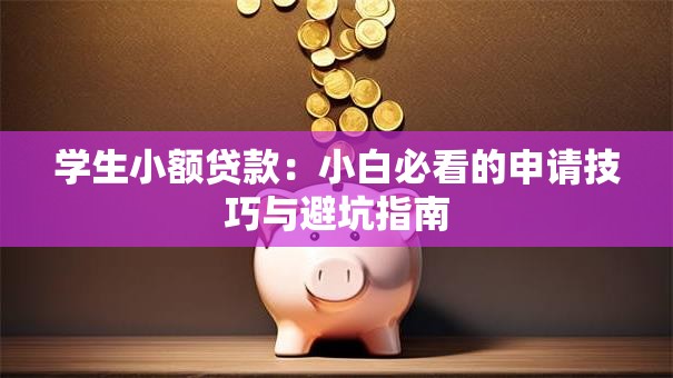 学生小额贷款:小白必看的申请技巧与避坑指南 学生小额贷款:小白必看的申请技巧与避坑指南