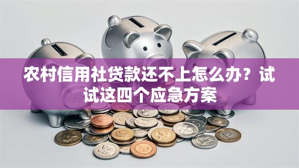 农村信用社贷款还不上怎么办？试试这四个应急方案