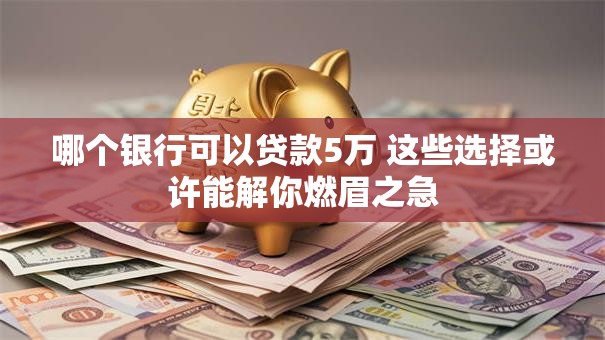 哪个银行可以贷款5万 这些选择或许能解你燃眉之急 哪个银行可以贷款5万 这些选择或许能解你燃眉之急