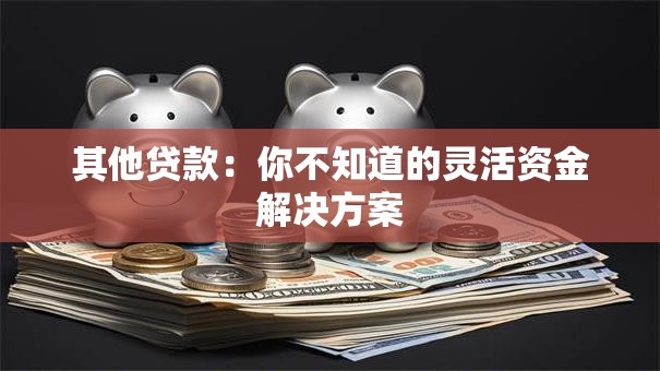 其他贷款:你不知道的灵活资金解决方案 其他贷款:你不知道的灵活资金解决方案