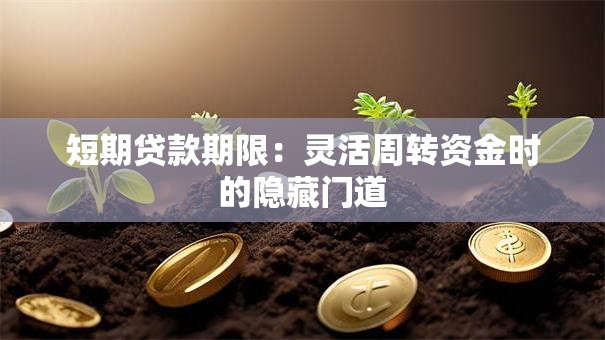 短期贷款期限：灵活周转资金时的隐藏门道