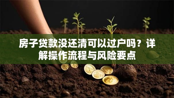 房子贷款没还清可以过户吗？详解操作流程与风险要点