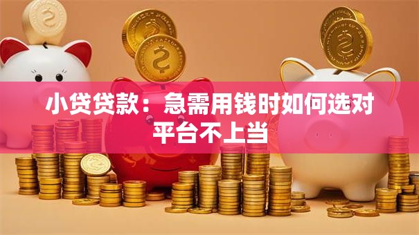 小贷贷款：急需用钱时如何选对平台不上当