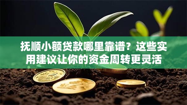 抚顺小额贷款哪里靠谱?这些实用建议让你的资金周转更灵活 抚顺小额贷款哪里靠谱?这些实用建议让你的资金周转更灵活